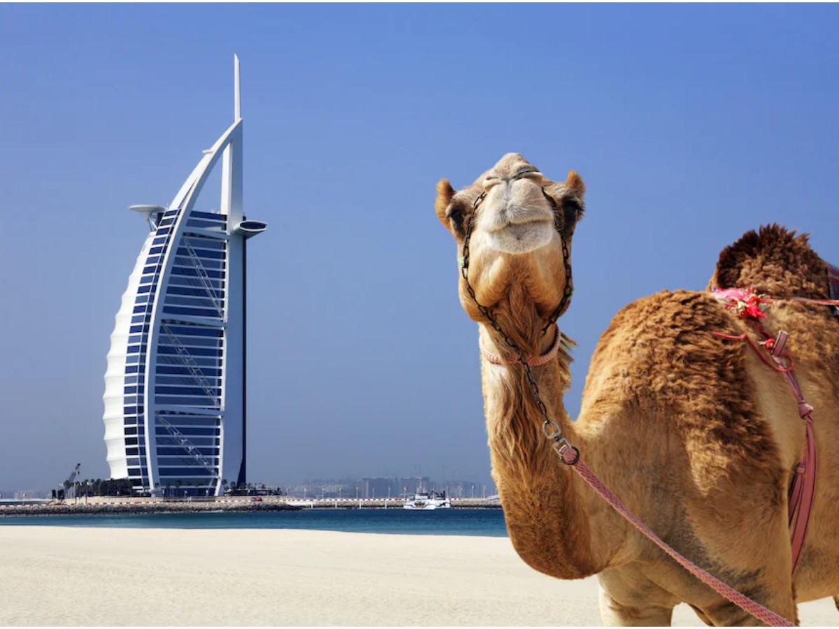 Discover the city of dreams